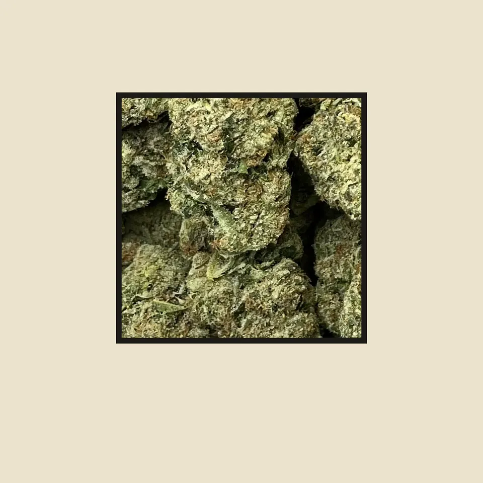 Blue Meteorite hemp THCA flower up close, greenhouse