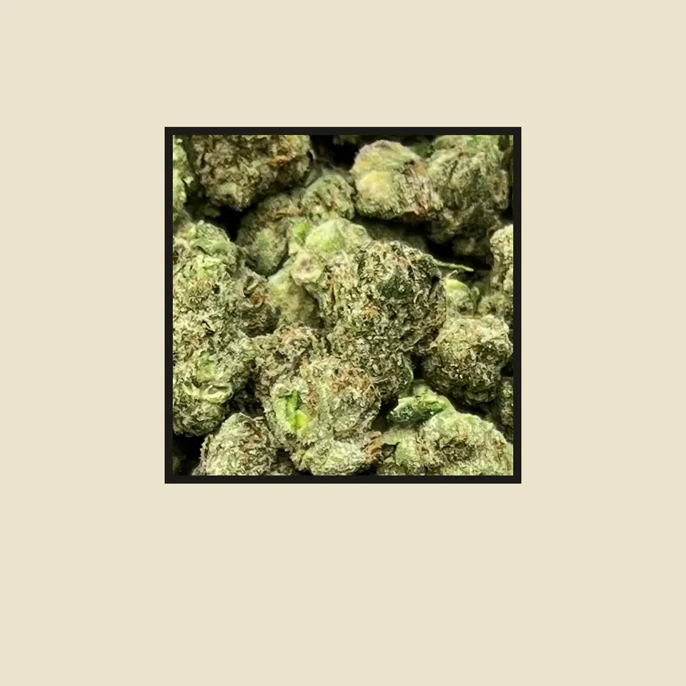 LFG hemp THCA flower up close, greenhouse