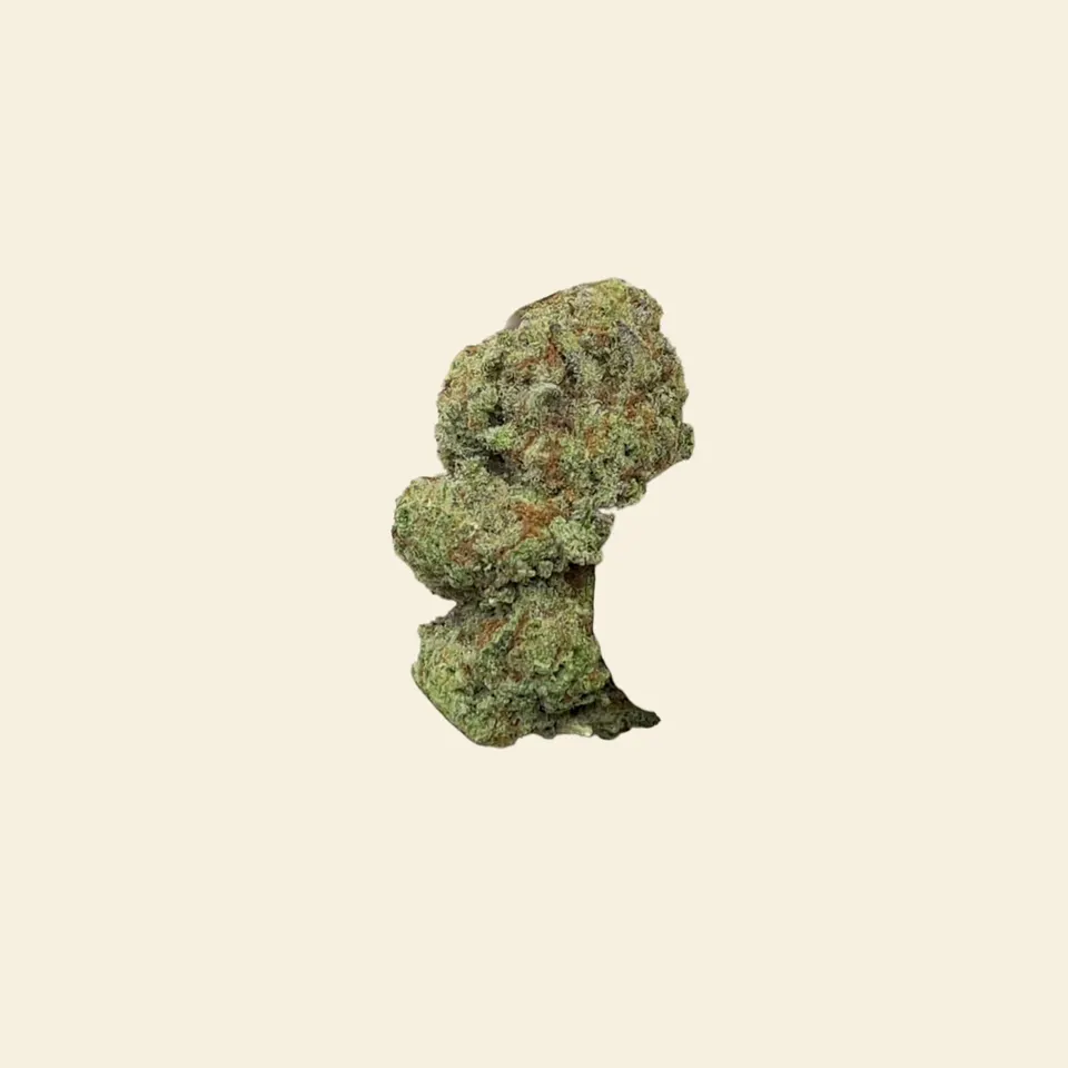 Punch Breath hemp THCA flower, greenhouse, on cream paper