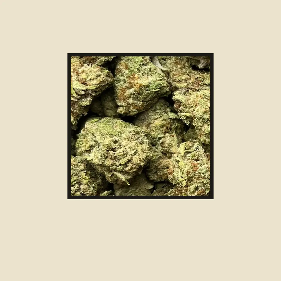 Punch Breath hemp THCA flower up close, greenhouse