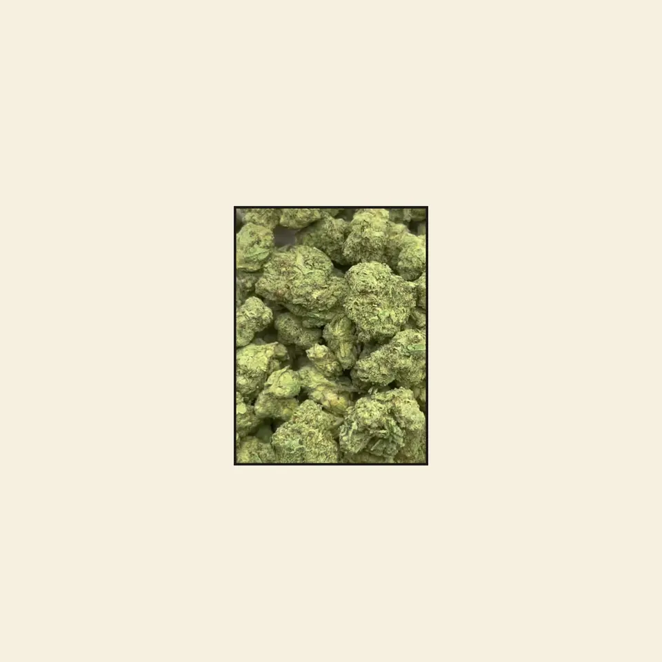 Red Velvet hemp THCA flower, greenhouse, on cream paper